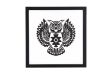 Picture of GYPSET OWL Wall Art (45x45cm)