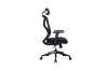 Picture of VALENCIA Ergonomic Office Chair (Black)