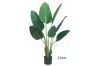 Picture of ARTIFICIAL PLANT H120cm/H160cm Banana Leaf (Black Plastic Pot)