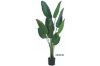 Picture of ARTIFICIAL PLANT H120cm/H160cm Banana Leaf (Black Plastic Pot)