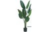 Picture of ARTIFICIAL PLANT Banana Leaf (Black Plastic Pot) - H120cm