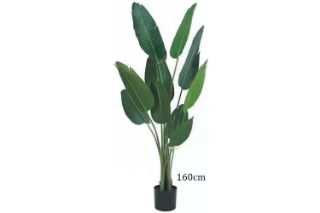 Picture of ARTIFICIAL PLANT Banana Leaf (Black Plastic Pot) - H160cm
