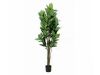 Picture of ARTIFICIAL PLANT Rubber Tree (H160cm)