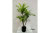 Picture of ARTIFICIAL PLANT BRAZILWOOD H120cm/H150cm/180cm (Black Plastic Pot)