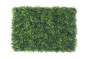 Picture of ARTIFICIAL PLANT Green Wall 3M² (Indoor/Outdoor Wall Decoration) - Boxwood