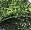 Picture of ARTIFICIAL PLANT Green Wall 3M² (Indoor/Outdoor Wall Decoration) - Boxwood