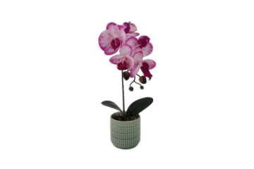 Picture of ARTIFICIAL PLANT Pink-White Orchid with Green Vase (H37cm)