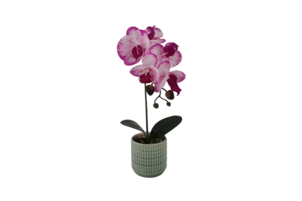 Picture of ARTIFICIAL PLANT Pink-White Orchid with Green Vase (H37cm)