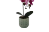 Picture of ARTIFICIAL PLANT Pink-White Orchid with Green Vase (H37cm)