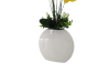 Picture of ARTIFICIAL PLANT Yellow Orchid with White Vase (H55cm)