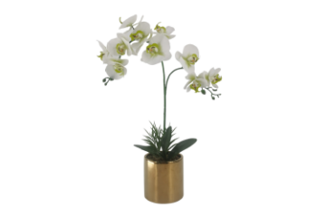 Picture of ARTIFICIAL PLANT White Orchid with Golden Vase (H55cm)