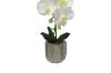 Picture of ARTIFICIAL PLANT White Orchid with Silver Vase (H45cm)