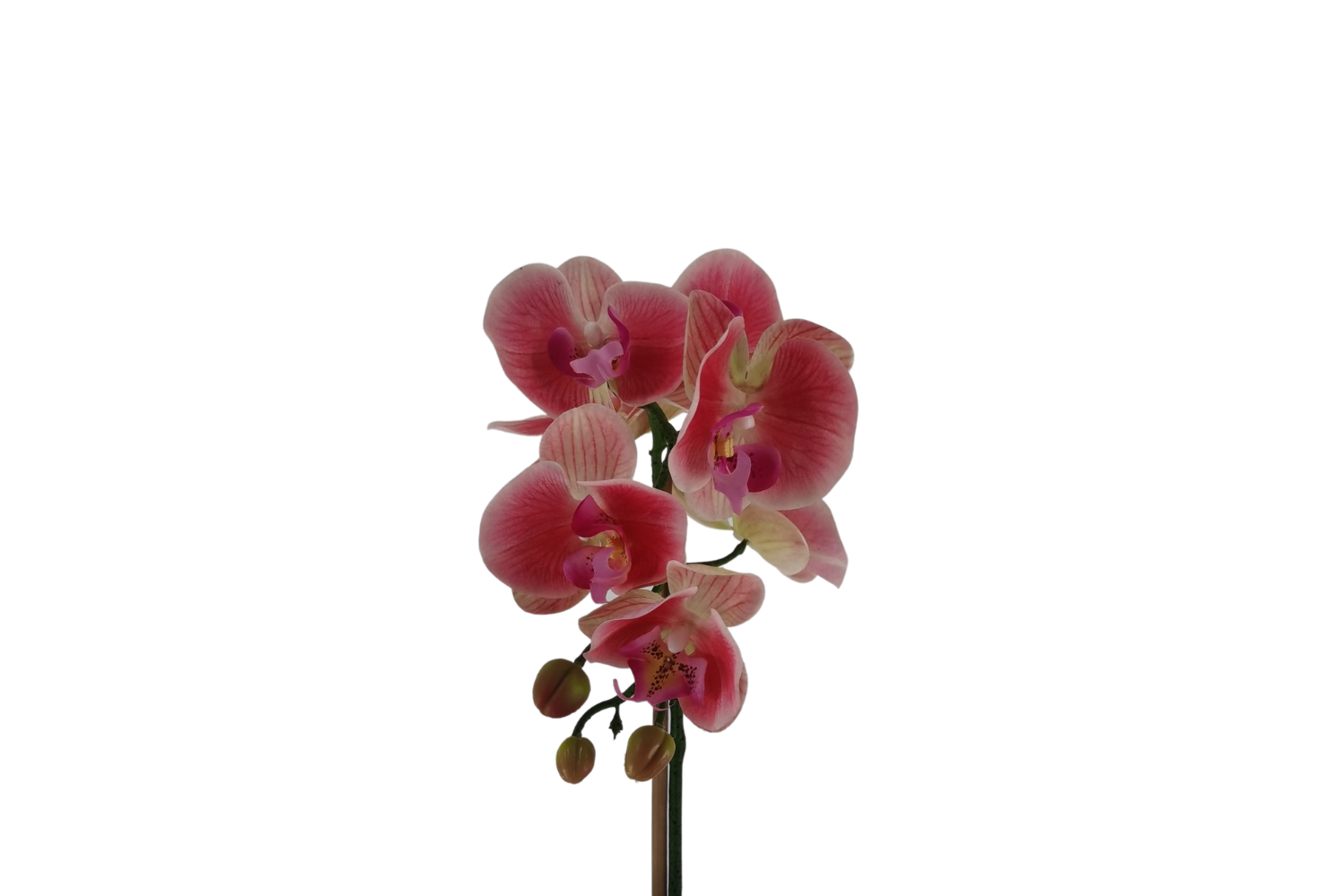 ARTIFICIAL PLANT Red Orchid with Round Silver Vase (H45cm)