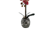 Picture of ARTIFICIAL PLANT Red Orchid with Round Silver Vase (H45cm)