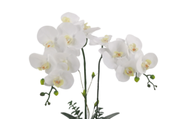 Picture of ARTIFICIAL PLANT White Orchid with Silver Vase (H56cm)