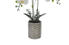Picture of ARTIFICIAL PLANT White Orchid with Silver Vase (H56cm)