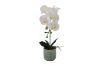 Picture of ARTIFICIAL PLANT White Orchid with Green Vase (H45cm)