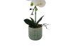 Picture of ARTIFICIAL PLANT White Orchid with Green Vase (H45cm)