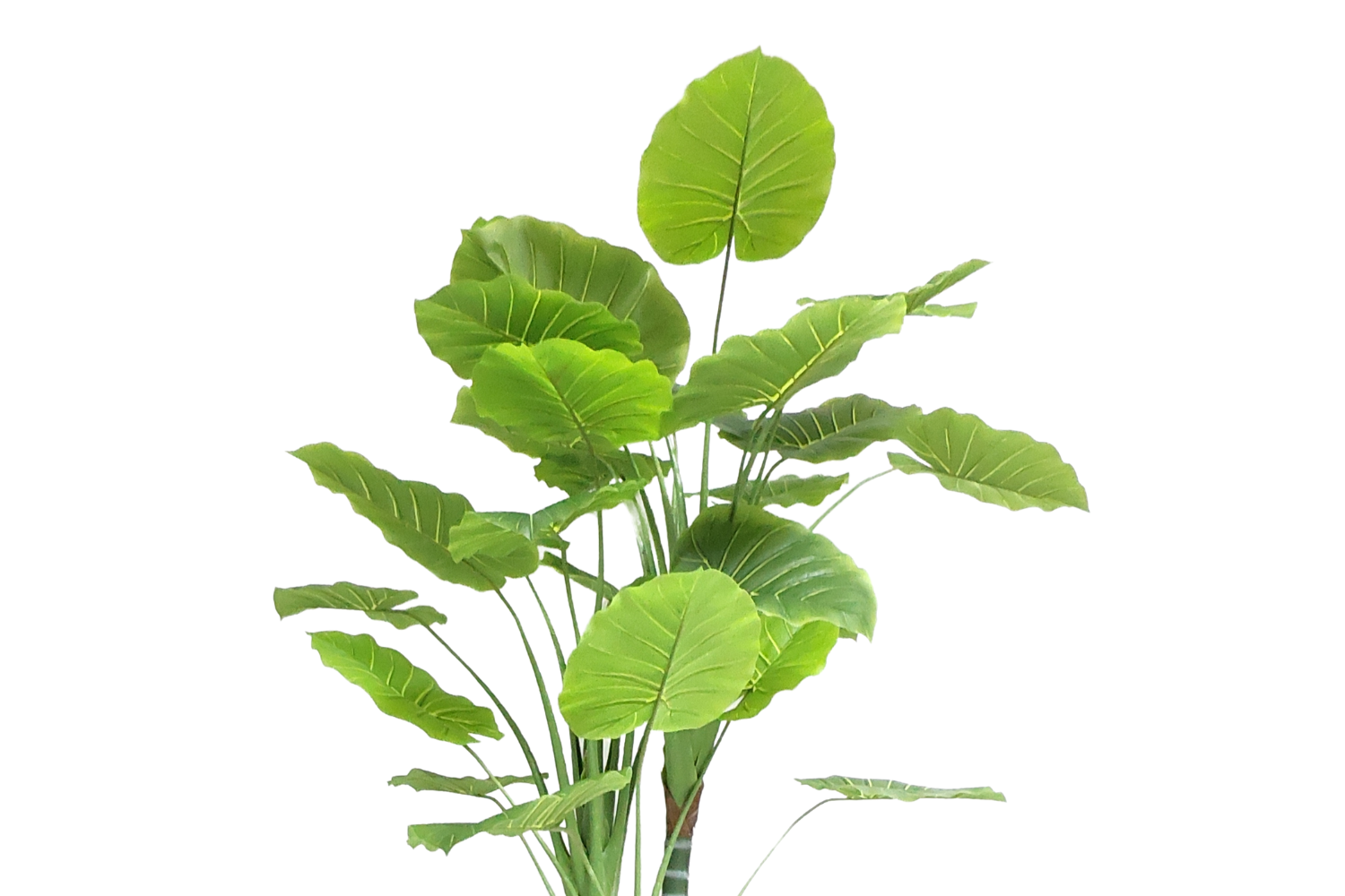 ARTIFICIAL PLANT Taro Tree