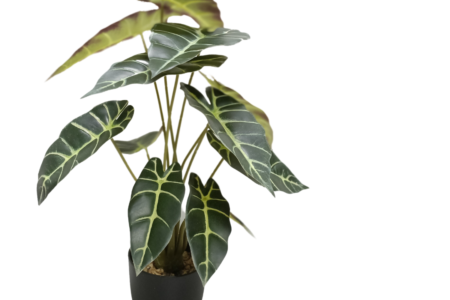 ARTIFICIAL PLANT Alocasia with Black Pot