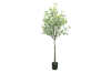 Picture of ARTIFICIAL PLANT Eucalyptus Tree (H180)