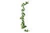 Picture of ARTIFICIAL PLANT Sweet Potato Vines 01 (2M Long)