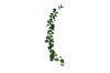 Picture of ARTIFICIAL PLANT Sweet Potato Vines 02 (2M Long)