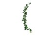 Picture of ARTIFICIAL PLANT Sweet Potato Vines 02 (2M Long)