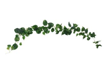 Picture of ARTIFICIAL PLANT Sweet Potato Vines 02 (2M Long)