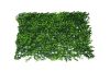 Picture of ARTIFICIAL Green Wall 3M² (Indoor/Outdoor Wall Decoration) - Bayberry