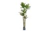 Picture of ARTIFICIAL PLANT PALM with Square Concrete Pot (H360cm)