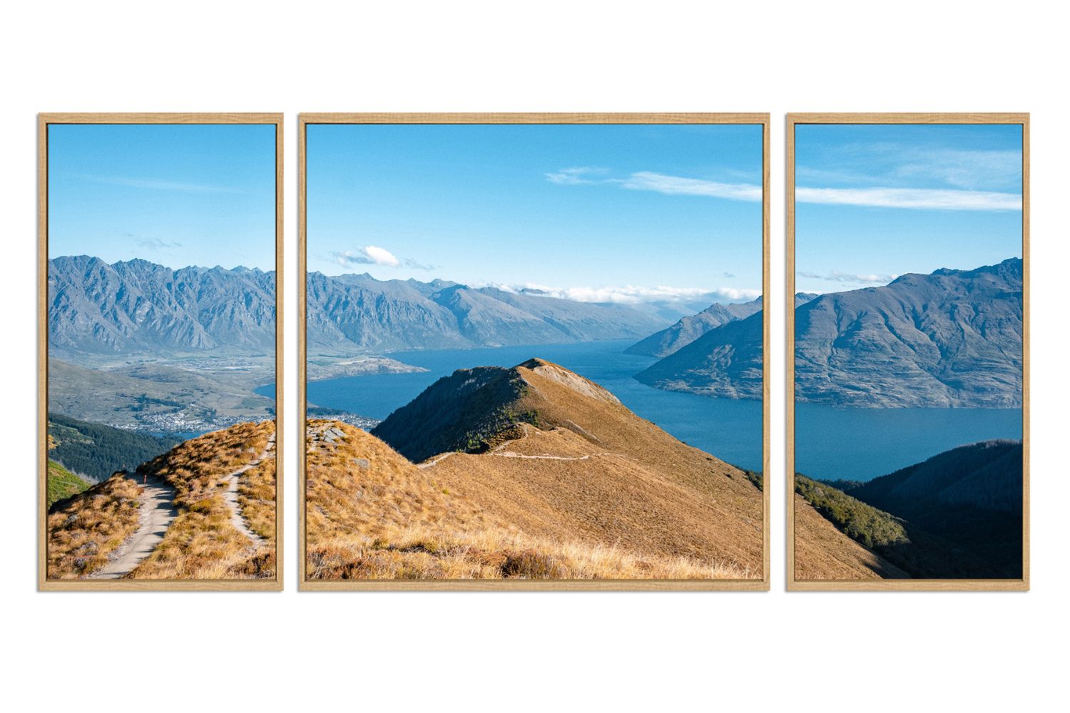 BEN LOMOND QUEENSTOWN NEW ZEALAND Wood Colour Framed Canvas Print