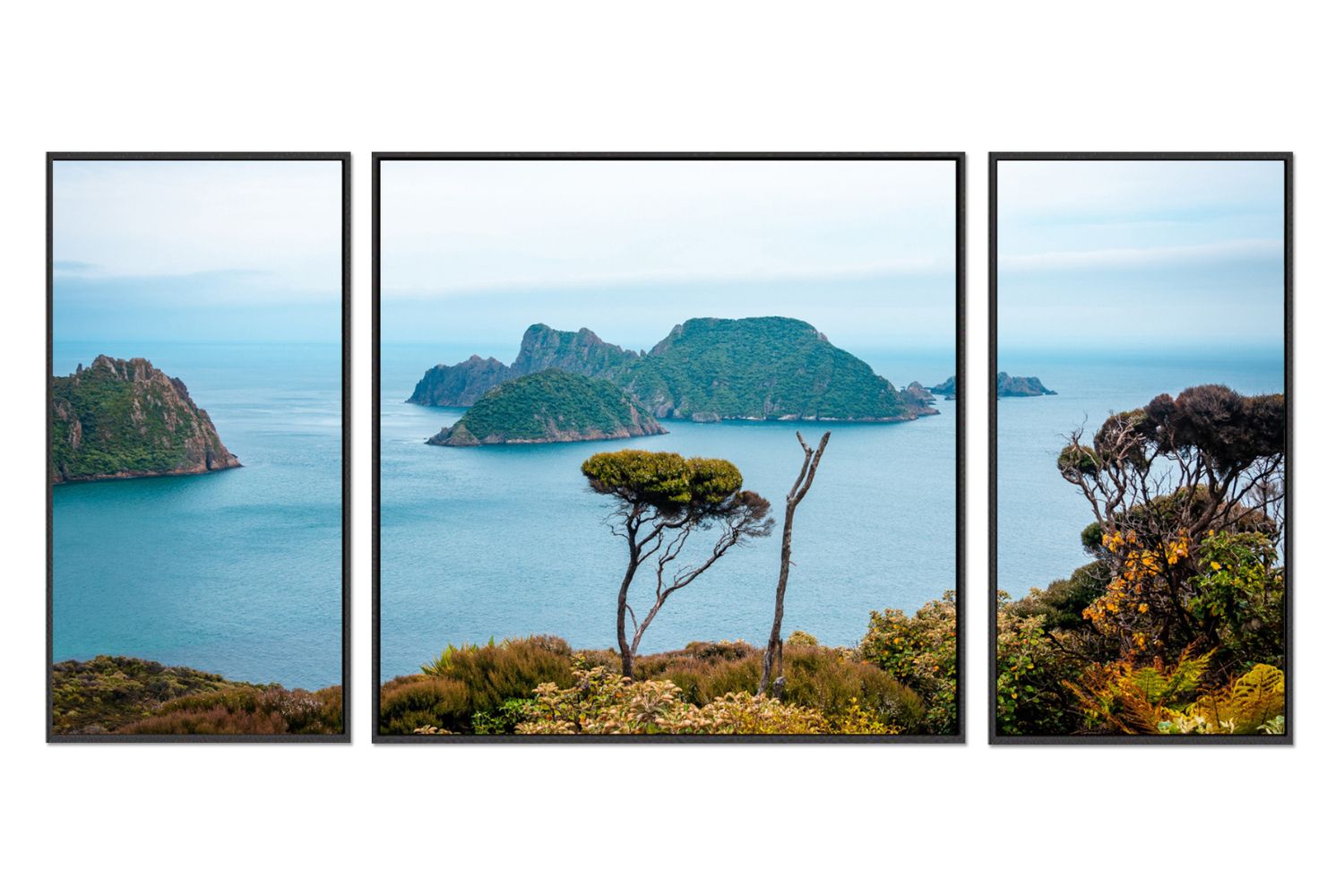 STEWART ISLAND NEW ZEALAND Black Framed Canvas Print Wall Art