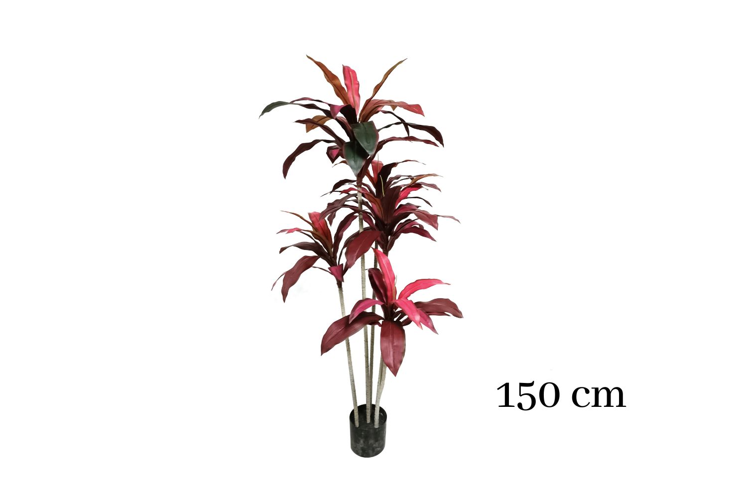 ARTIFICIAL PLANT CORDYLINE TERMINALIS (H150cm/H210cm)