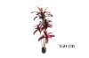 Picture of ARTIFICIAL PLANT CORDYLINE TERMINALIS (H150cm/H210cm)