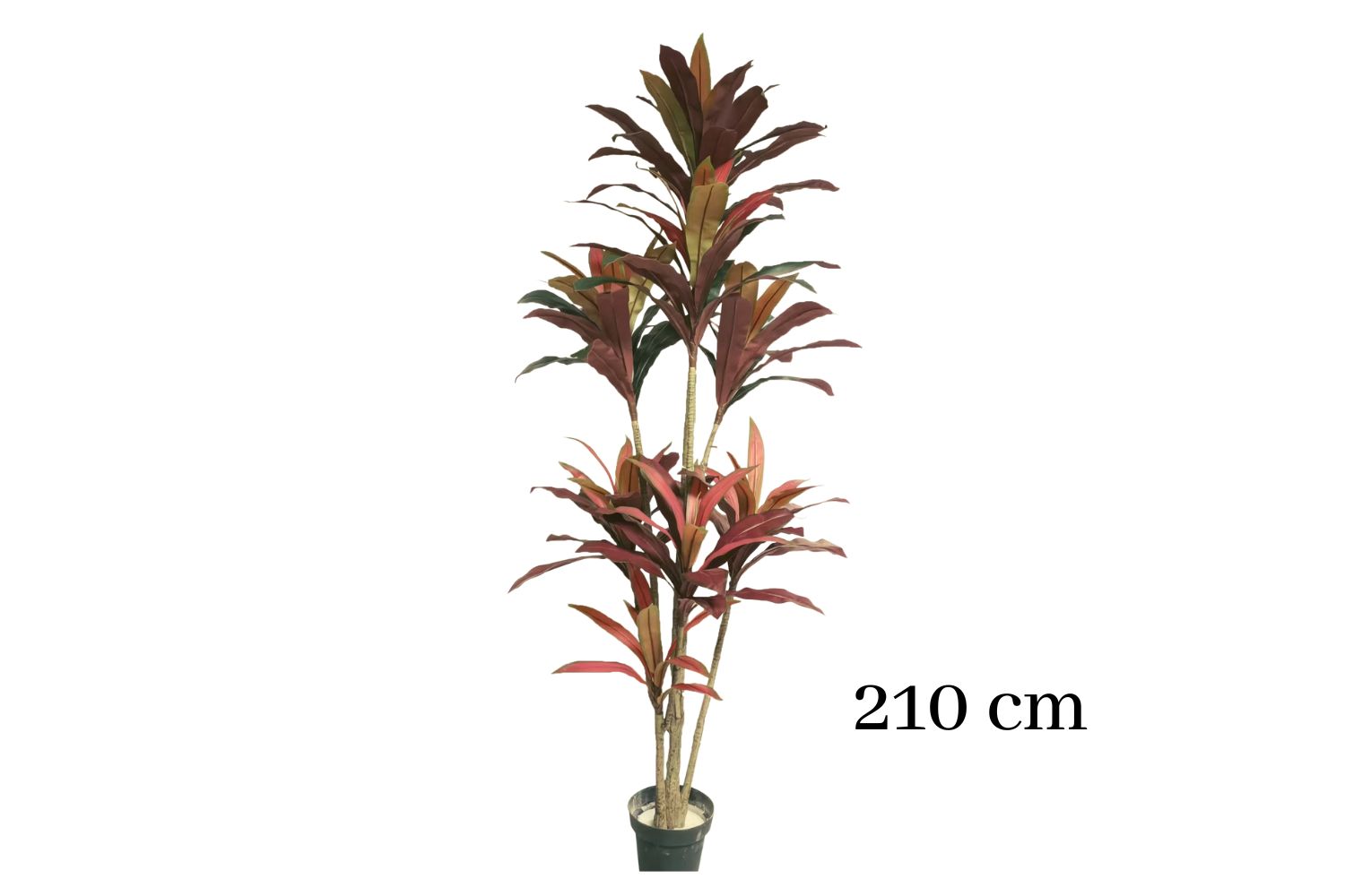 ARTIFICIAL PLANT CORDYLINE TERMINALIS (H150cm/H210cm)