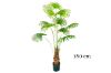 Picture of ARTIFICIAL PLANT Fan Palm Tree (H180cm/H210cm)