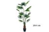 Picture of ARTIFICIAL PLANT Fan Palm Tree (H210cm)