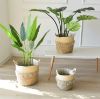 Picture of JUTE Rope Flowerpot/Plant Basket/Storage Basket (Multiple Sizes)