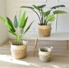 Picture of JUTE Rope Flowerpot/Plant Basket/Storage Basket - Large (22cmx25cm)