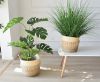 Picture of JUTE Rope Flowerpot/Plant Basket/Storage Basket - Large (22cmx25cm)