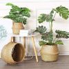 Picture of SEAGRASS Belly Basket/Floor Planter/Storage Belly Basket (Natural Colour) (Multiple Sizes)