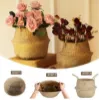 Picture of SEAGRASS Belly Basket/Floor Planter/Storage Belly Basket (Natural Colour) (Multiple Sizes)