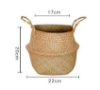 Picture of SEAGRASS Belly Basket/Floor Planter/Storage Belly Basket (Natural Colour) (Multiple Sizes)