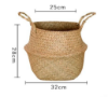 Picture of SEAGRASS Belly Basket/Floor Planter/Storage Belly Basket (Natural Colour) (Multiple Sizes)