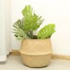 Picture of SEAGRASS Belly Basket/Floor Planter/Storage Belly Basket (Natural Colour) - Medium