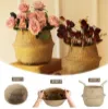 Picture of SEAGRASS Belly Basket/Floor Planter/Storage Belly Basket (Natural Colour) - Extra Large