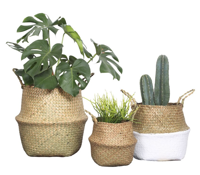 SEAGRASS Belly Basket/Floor Planter/Storage Belly Basket (Natural Colour) Extra Large