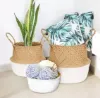 Picture of SEAGRASS Belly Basket/Floor Planter/Storage Belly Basket (White & Natural Two Tone) - Large