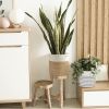 Picture of JUTE Rope Plant Basket/Storage Organizer (White & Natural)